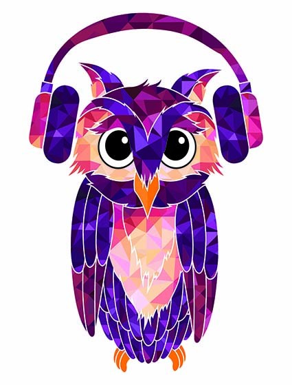 T187 Regular Fit Printed T-Shirt Owl
