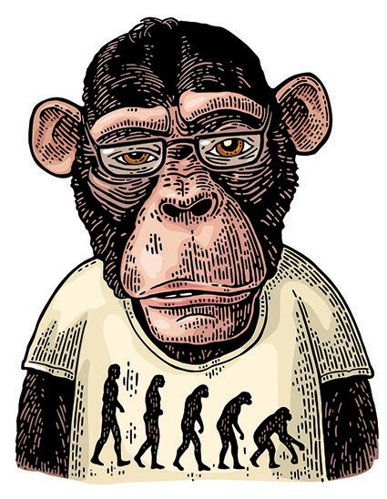 T795 Regular Fit Printed T-Shirt  Monkey 