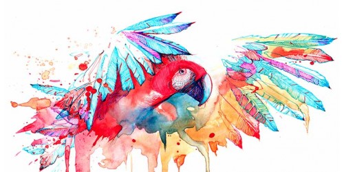 R3057 Water Colour Canvas Wall Art Parrots Canvas Print 