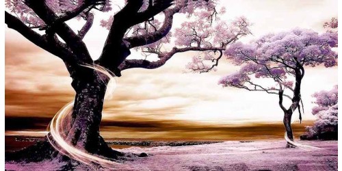 R775 Landscape Canvas Wall Art Canvas Print