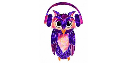 T187 Regular Fit Printed T-Shirt Owl