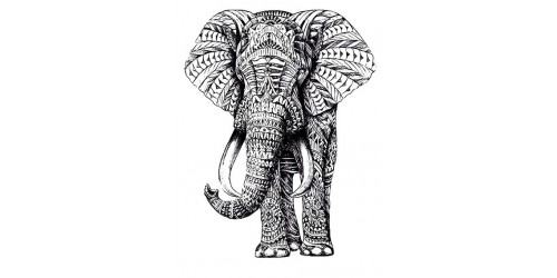 T263 Regular Fit Printed T-Shirt Elephant