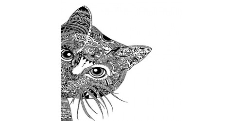 T269 Regular Fit Printed T-Shirt Cat
