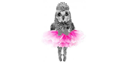 T314 Regular Fit Printed T-Shirt Owl