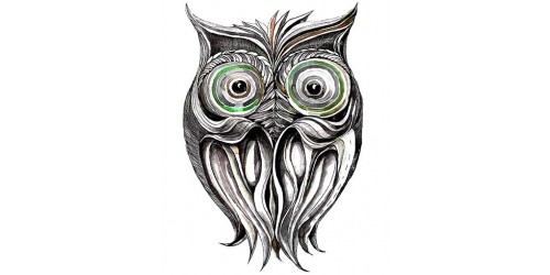 T321 Regular Fit Printed T-Shirt Owl