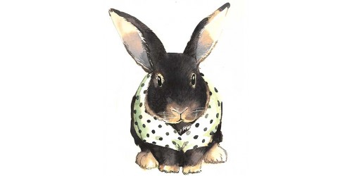 T342 Regular Fit Printed T-Shirt Rabbit