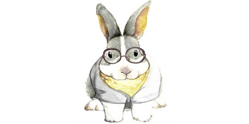 T343 Regular Fit Printed T-Shirt Rabbit