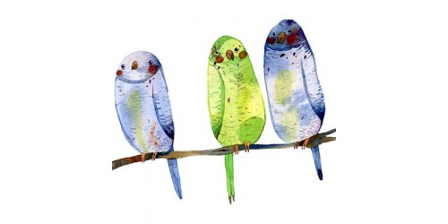 T357 Regular Fit Printed T-Shirt Birds