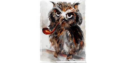 T363 Regular Fit Printed T-Shirt Owl