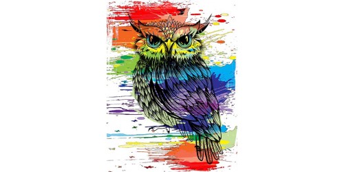 T389 Regular Fit Printed T-Shirt Owl