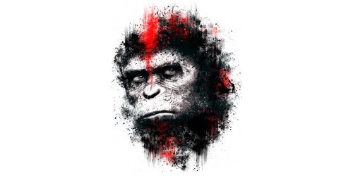 T41 Regular Fit Printed T-Shirt Planet of the Apes