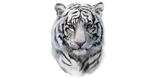Black And White Tiger t shirt print London