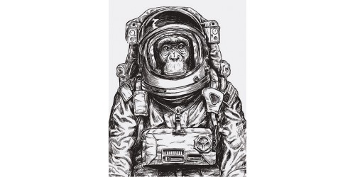 Astronaut Monkey print in  t shirt London