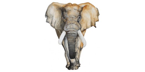 t shirt Print London elephant art
