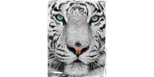 T95 Regular Fit Printed T-Shirt Tiger