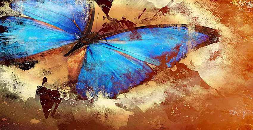 Butterfly Canvas Wall Art Canvas Print