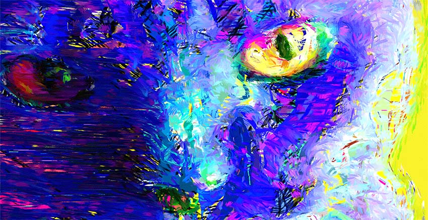 Cat Canvas Wall Art Canvas Print