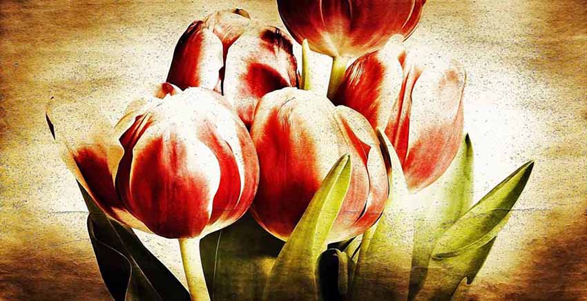 Flower Canvas Wall Art Canvas Print