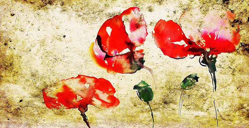 Flower Canvas Wall Art Canvas Print
