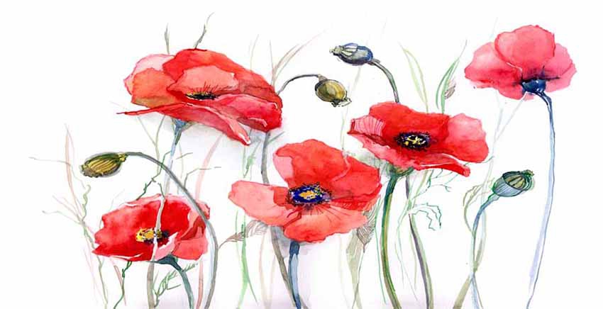 Flowers Canvas Wall Art Canvas Print