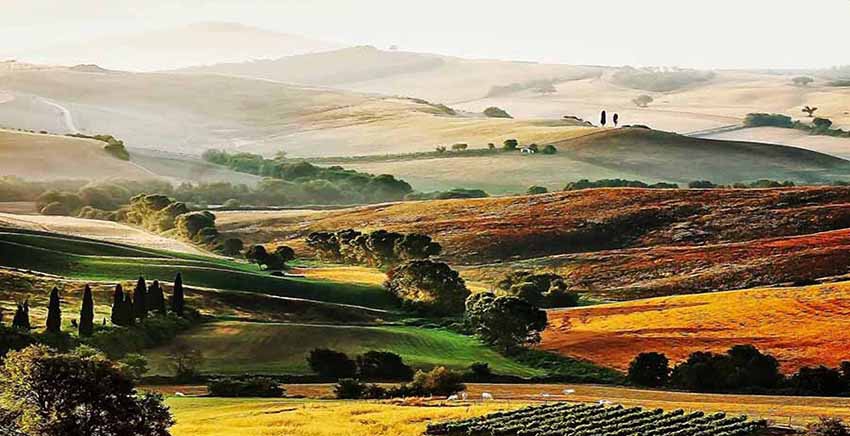 Landscape Canvas Wall Art Canvas Print