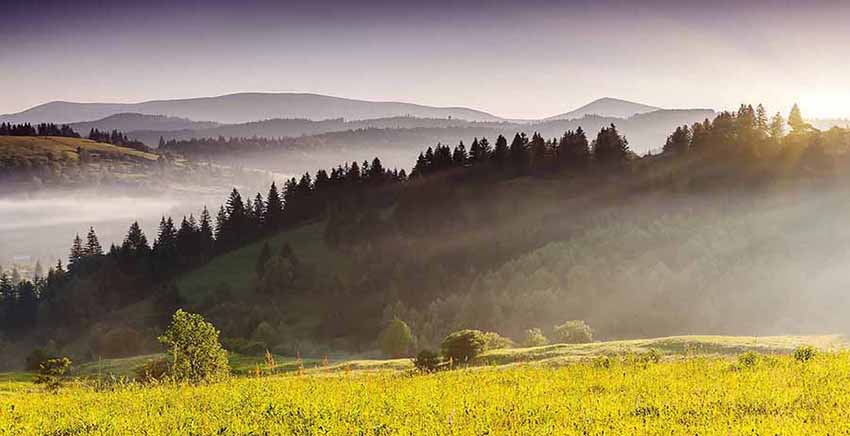 Landscape Canvas Wall Art Canvas Print