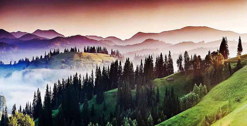 Landscape Canvas Wall Art Canvas Print