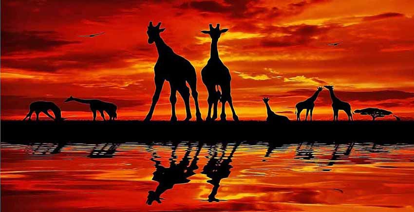 Canvas Wall Art Canvas Print