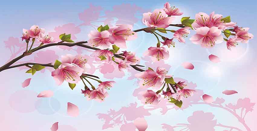 Canvas Wall Art Canvas Print Sakura blossom