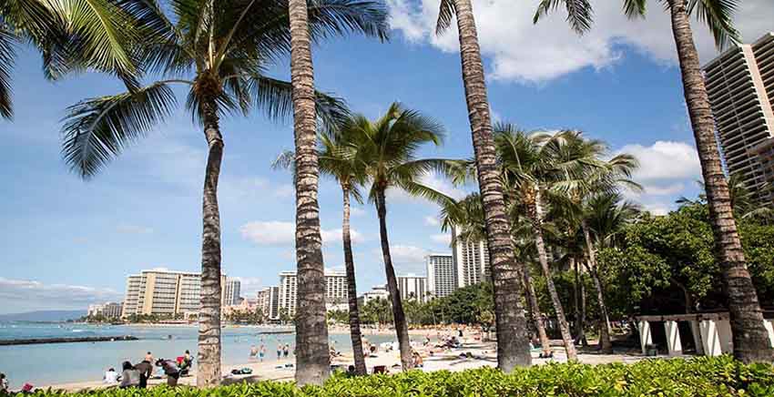 Canvas Wall Art Canvas Print Hawaii - Oahu - Waikiki