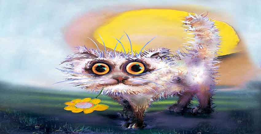 Canvas Wall Art Canvas Print Cat