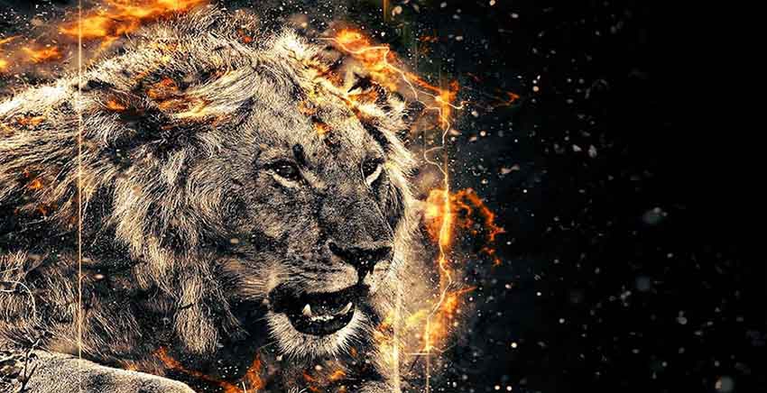 Canvas Wall Art Canvas Print Lion