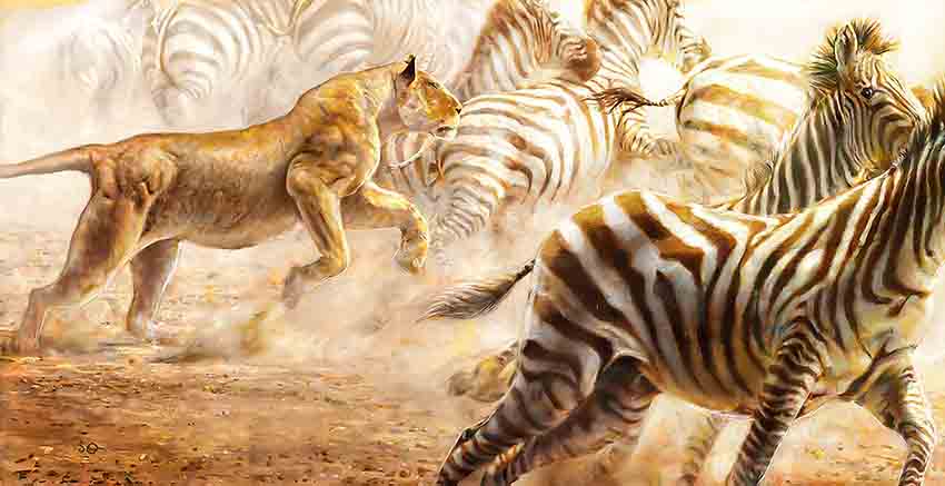 Canvas Wall Art Canvas Print Tiger, Zebra