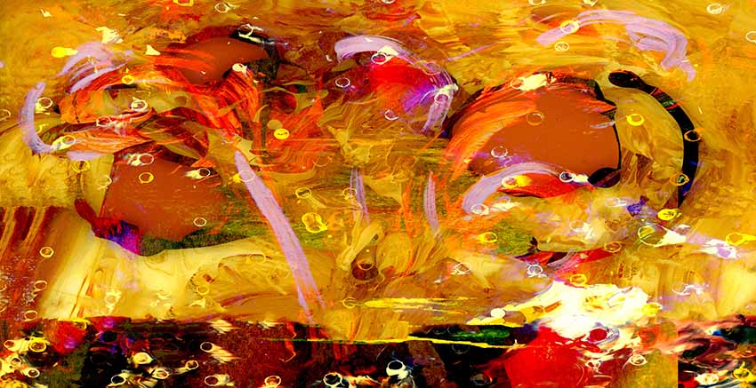 Canvas Wall Art Canvas Print
