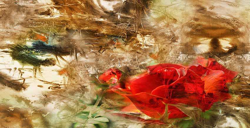 Canvas Wall Art Canvas Print