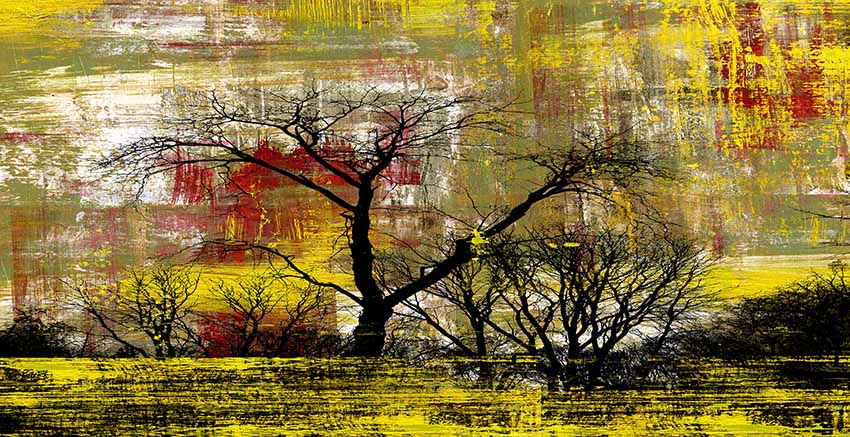 Canvas Wall Art Canvas Print