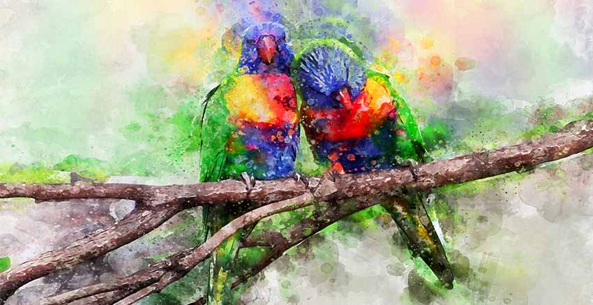 Canvas Wall Art Canvas Print