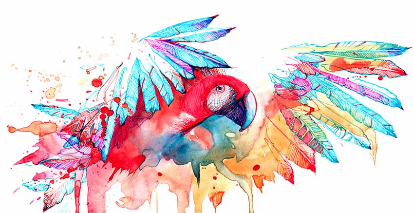 Water Colour Canvas Wall Art Parrots Canvas Print
