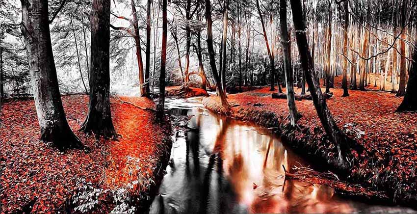 Canvas Wall Art Canvas Print