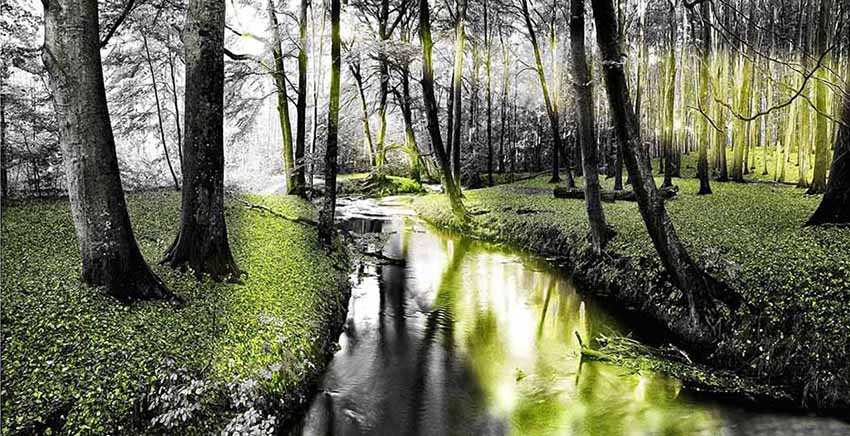 Canvas Wall Art Canvas Print
