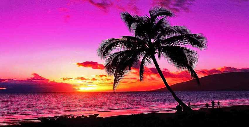 Sunset Canvas Wall Art Canvas Print