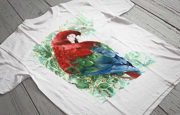 Regular Fit Printed T-Shirt  Parrot