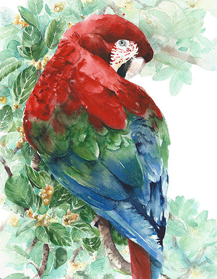 Regular Fit Printed T-Shirt  Parrot — image 6