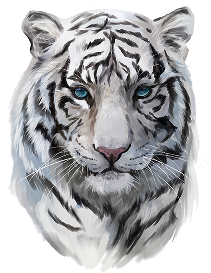Regular Fit Printed T-Shirt  Black And White Tiger — image 6
