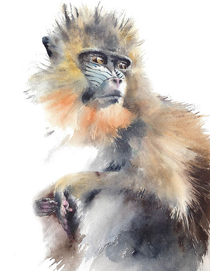Regular Fit Printed T-Shirt  Monkey — image 6