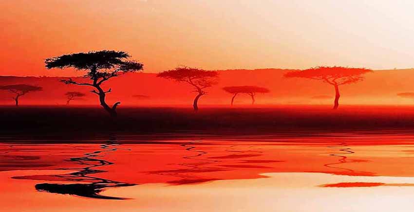 Canvas Wall Art Canvas Print Sunset