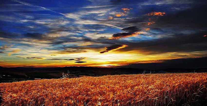 Canvas Wall Art Canvas Print Sunset