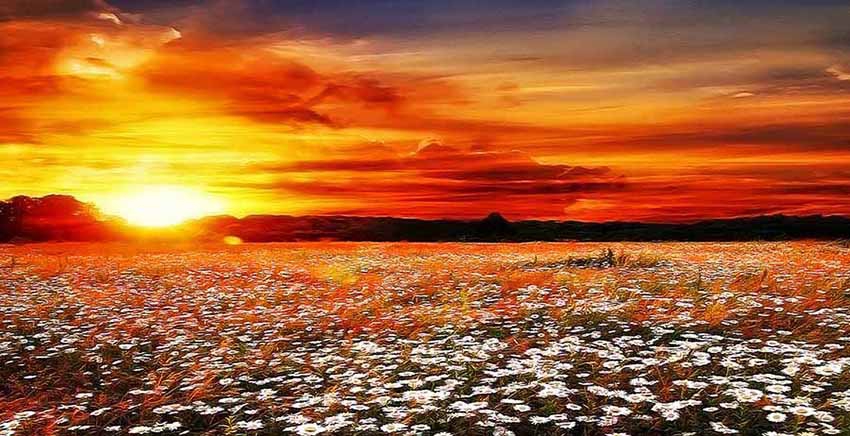 Sunset Canvas Wall Art Canvas Print