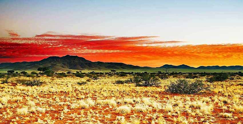 Landscape Canvas Wall Art Canvas Print