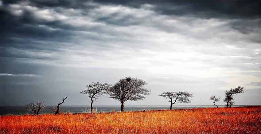 Landscape Canvas Wall Art Canvas Print